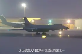 瞒不下去了！六分之一美国人吃不饱，4亿美元补助金却不翼而飞视频封面