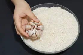 原来保存大米这么简单，放一年也不发霉不生虫，学到就是赚到视频封面