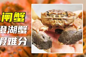 产值3亿的阳澄湖大闸蟹，却卖出300亿，洗澡挂名蟹有多猖狂？视频封面