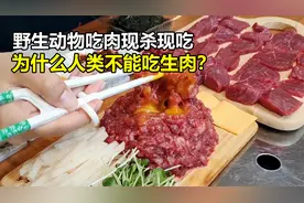 原始人和动物可以吃生肉，为什么现代人却不行？吃了会死亡吗？