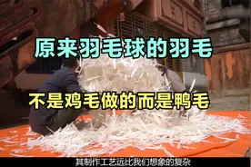 原来羽毛球上羽毛并不是鸡毛，而是用肉鸭毛做成的视频封面