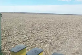 不耕地也能播种——免耕播种又称“懒人种田”法