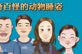 千奇百怪的动物睡姿