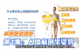 什么是正常人体解剖姿势？李正军医生从轴，面，位置3个方面讲解