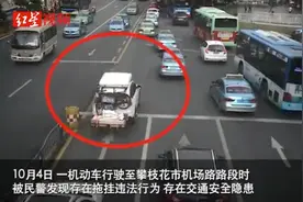 行李自行车挂车尾，大狗放后备箱 民警责令司机拆除加装架子视频封面