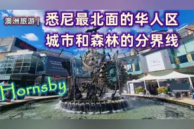 澳洲生活，悉尼生活，悉尼最北的华人区，城市和森林的分界线视频封面