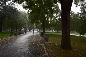 雨中的美国波士顿漫步（雨落在雨伞白噪声音）