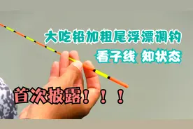 首次披露，大吃铅加粗尾浮漂灵钝调钓，看子线就明白水下状态视频封面
