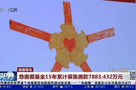 慈善爱基金15年累计募集善款7883.432万元视频封面