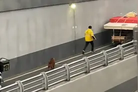 老爷爷拉废品车子艰难上坡 外卖小哥果断停车伸出援手视频封面