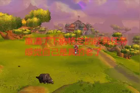 魔兽世界重温了下纳格兰的经典任务，感觉自己是真的老了视频封面