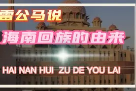 海南回族的由来视频封面