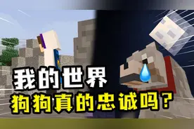 我的世界：狗狗真的是忠诚的吗？玩家阵亡后，狗狗直接回家了