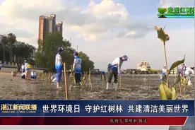 世界环境日 守护红树林 共建清洁美丽世界视频封面