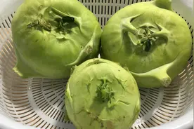 教你正宗的芥兰头腌制方法，简单易学，爽脆下饭，存放越久越好吃视频封面