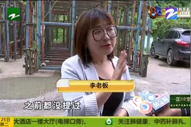 “夹胶玻璃”有气泡 “博圣”强调一部分视频封面