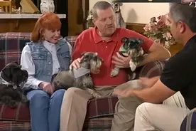 狗语者—三条雪纳瑞