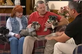 狗语者—三条雪纳瑞视频封面