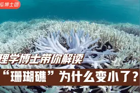 为什么珊瑚礁变得越来越小？海水酸化是元凶？@抖音青少年视频封面