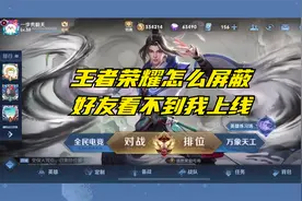 王者荣耀怎么屏蔽好友看不到我上线视频封面