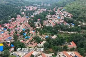 一年半村集体收入翻四倍！看济南章丘贫困村石匣村的“凤凰蝶变”视频封面