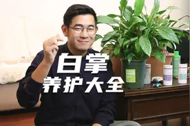 园艺师教你养白掌，又叫一帆风顺，这可能是白掌，最全面的教程视频封面