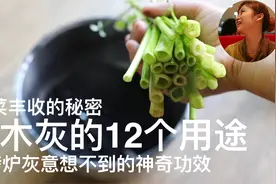 草木灰12个用途｜烧烤炉灰意想不到的神奇功效｜蔬菜丰收的秘密视频封面