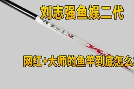 网红大师的鱼竿到底怎么样？刘志强鱼娱二代视频封面
