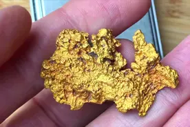小伙丛林探险，意外挖到狗头金，一扫四个月的霉运！呸、呸、呸…视频封面