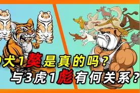 犬生九子必有一獒是真的吗？虎生三子，必有一彪，二者是否有关？视频封面