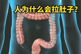 人为什么会拉肚子呢？3D动画演示全过程，一条有味道的视频视频封面