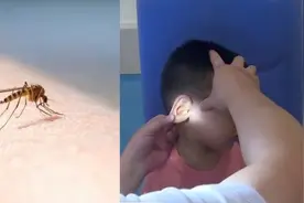秋蚊猛如虎！医生提醒：被叮后溃烂发热早就医，儿童及时接种疫苗视频封面