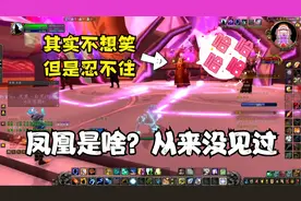 凯子都笑了，第520次刷凤凰，结果不出所料【魔兽世界正式服】视频封面