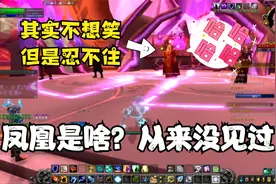 凯子都笑了，第520次刷凤凰，结果不出所料【魔兽世界正式服】视频封面