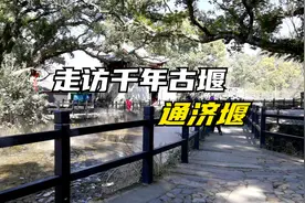 走访千年古堰画乡——通济堰视频封面