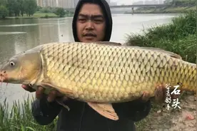 野钓：大风大雨不好钓鱼？事实证明只要窝子打的好，大鱼少不了视频封面