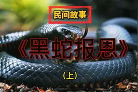 蛇跑进家里千万不要打死，要恭恭敬敬完好无损请出家门视频封面
