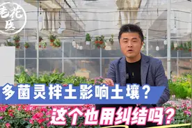 多菌灵拌土影响土壤？这个也用纠结吗？养花巧妙小知识！视频封面