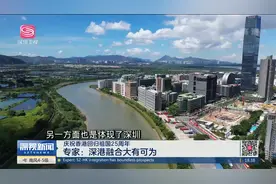 专家：深港强强联合 成为大湾区重要增长极视频封面