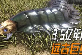 三米高的巨型蜈蚣，史前生物，究竟是肉食动物还是素食动物。视频封面