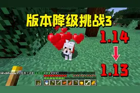 MC降级生存3：现代村庄穿越时空，1.14的村庄出现在了1.13里！视频封面