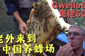 加拿大博主：来到中国养蜂场 中国的蜂蜜比加拿大的甜！视频封面