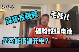 房车电器专家？车友不要再被消费了，磷酸铁锂电池能否低温充电？