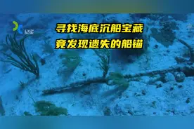 寻找海底沉船宝藏的日子已经开始了七天，且来看他们的收获如何？视频封面