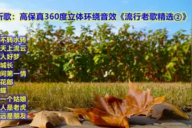 观景听歌：高保真360度立体环绕音效《流行老歌精选②》视频封面