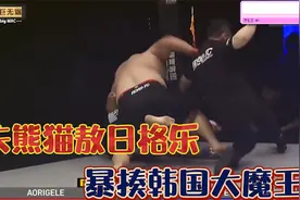 功夫小胖敖日格乐不惧韩国大魔王，首回合急速KO，身披国旗领奖视频封面