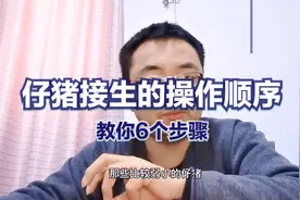仔猪接生的操作顺序是什么？小猪接生视频全教程，教你6个步骤！