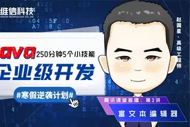 《Java企业级开发实用小技能》之富文本编辑器「维信科技」视频封面