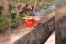 爆笑合集：大哥你这个烟花放的真过分，咋还炸膛了啊哈哈哈视频封面