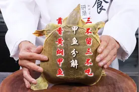菌香黄焖甲鱼第一期：分解甲鱼3不能留3不能吃，腥味和毒素全跑光视频封面